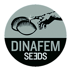 Dinafem Seeds Dinafem Seeds