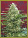 Satori (Обычные)