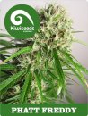 Kiwi Seeds Phatt Freddy (Феминизированные)